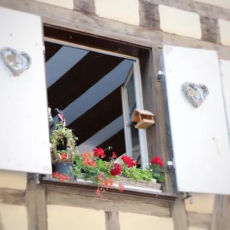 Alsacien Pour 4 Pers. Renove Avec Gout Au Coeur Du Vignoble, Route Des Vins, Gueberschwihr. - Fr-1-722-9 아파트 *